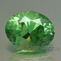 Garnet Demantoid