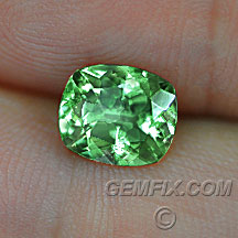 tsavorite garnet green cushion