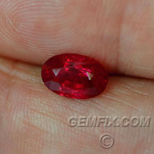 Burma red Ruby oval