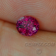 Sri Lanka oval certified ruby