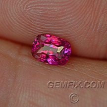Sri Lanka oval certified ruby