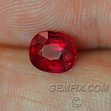 red ruby certified cushion