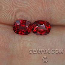 ruby cushion pair certified pigeon blood red