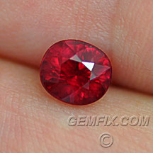 pigeon blood oval ruby