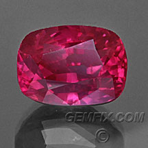 pin red ruby cushion