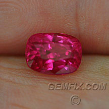 red pink ruby cushion