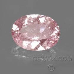 unheated pink peach sapphire oval untreated