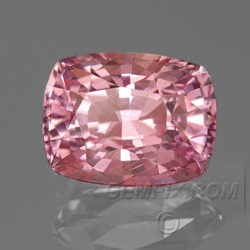 unheated pink peach cushion sapphire