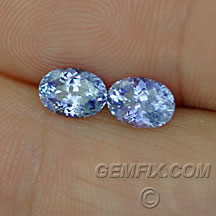 unheated ceylon oval sapphire pair