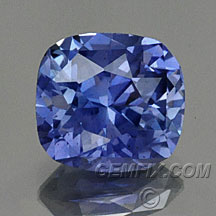 gemfix.com