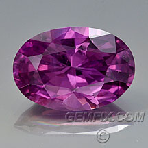 untreated violet pink sapphire oval