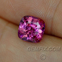 cushion untreated pink magenta sapphire