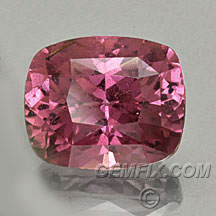 cushion natural certified pink sapphire