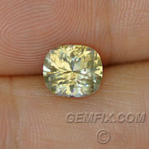 champagne color sapphire cushion