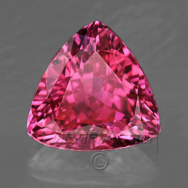 gemfix.com