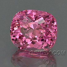 gemfix.com