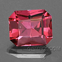 gemfix.com