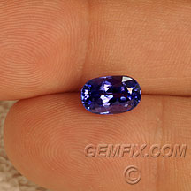 oval cushion tanzanite