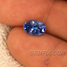 oval tanzanite