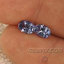 oval pair of tanzanites