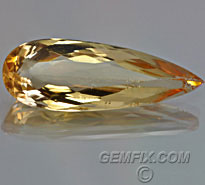 imperial topaz yellow orange pear