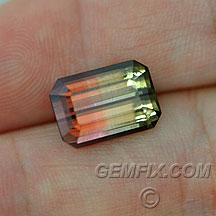 bicolor ec tourmaline