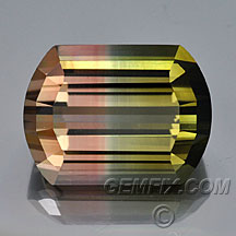watermelon bi-color tourmaline cushion