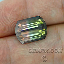 watermelon bi-color tourmaline cushion