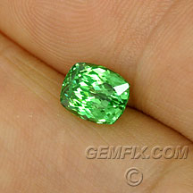 tsavorite garnet cushion mint green