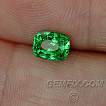 cushion tsavorite garnet