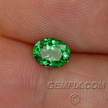 tsavorite green garnet oval